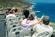 Double Decker - Scenic Shores and Sea Cliffs Tour